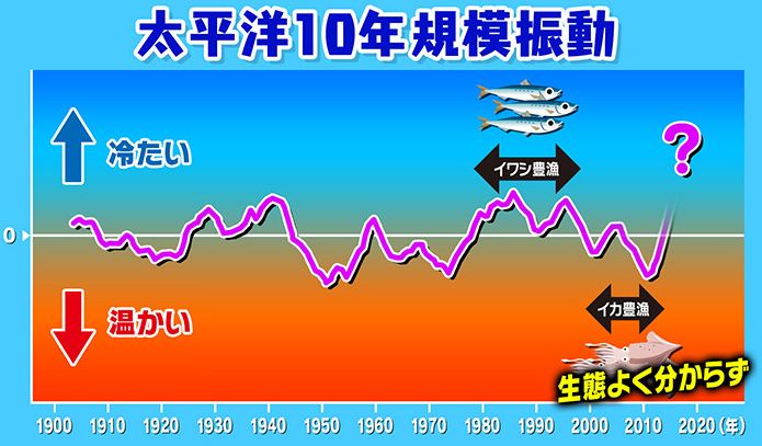 海水温度変化_太平洋